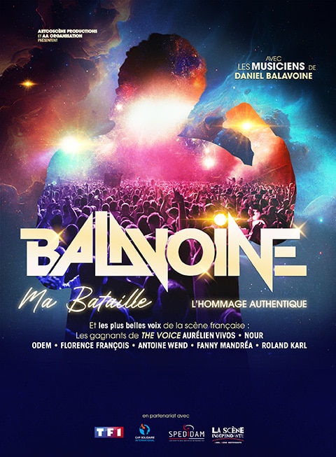 Balavoine, Ma bataille