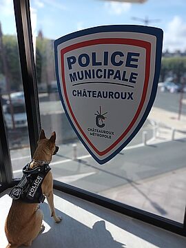 Auxiliaire canin police municipale Châteauroux © Châteauroux Métropolev